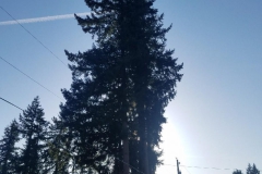 20200319_172839_1587517566193-1